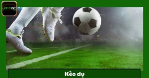 Kèo Dụ Jackbit – Làm Sao Tránh Được Cạm Bẫy?