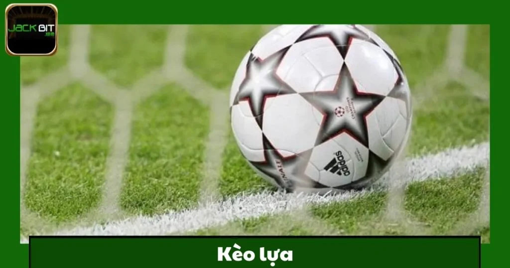Kèo Lựa Jackbit – Cá Cược Tự Do, Thắng Lớn 1 Kèo Lựa Jackbit – Cá Cược Tự Do, Thắng Lớn