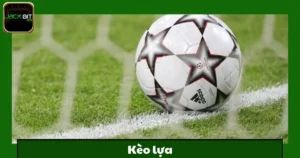Kèo Lựa Jackbit – Cá Cược Tự Do, Thắng Lớn
