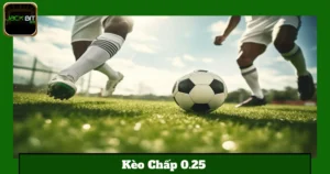 Cách Tính Thắng Thua Khi Chơi Kèo 0.25