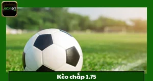 Kèo Chấp 1.75 Jackbit – Tăng Tỷ Lệ Thắng Với Loại Kèo