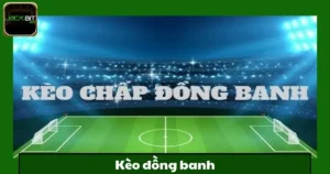 Kèo Đồng Banh Jackbit – Cách Đặt Kèo An Toàn Cho Người Mới